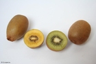 Foto gul och grÃ¶n kiwi