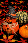 foto Halloween