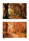 foto Höst 3