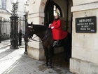 Hushållskavalleri London