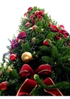 julgran