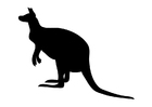 Målarbild känguru