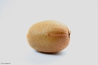 foto kiwi