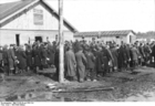 foto Lettland - judar