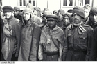 Foto mauthausen koncentrationsläger - ryska krigsfångar (2)