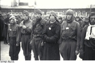 Foton Mauthausens koncentrationsläger - ryska krigsfångar (3)