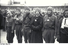 Foto mauthausens koncentrationsläger - ryska krigsfångar (3)