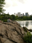 Foton New York - Central Park