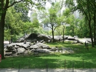 Foto New York - Central Park
