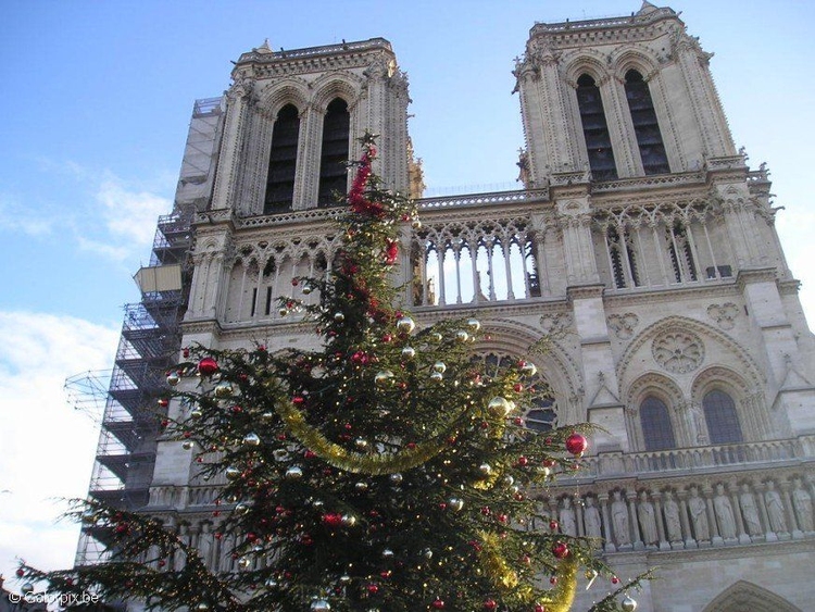 Foto Notre Dame i Paris