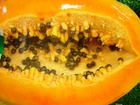 Foton papaya