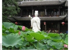 foto park