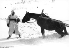 Ryssland - soldat med häst under vintern