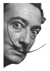 Foton Salvador Dali