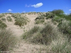 foto sanddyner