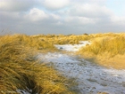 foto sanddyner 4