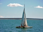 foto segelbåt - katamaran