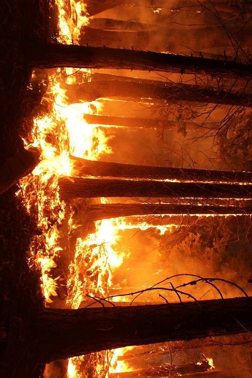 skogsbrand