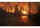 foto skogsbrand