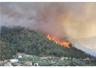 Foto skogsbrand