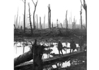 Foton slagfält under första världskriget