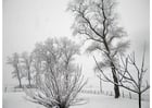 Foton snö - vinterlandskap