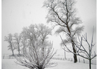 foto snö - vinterlandskap