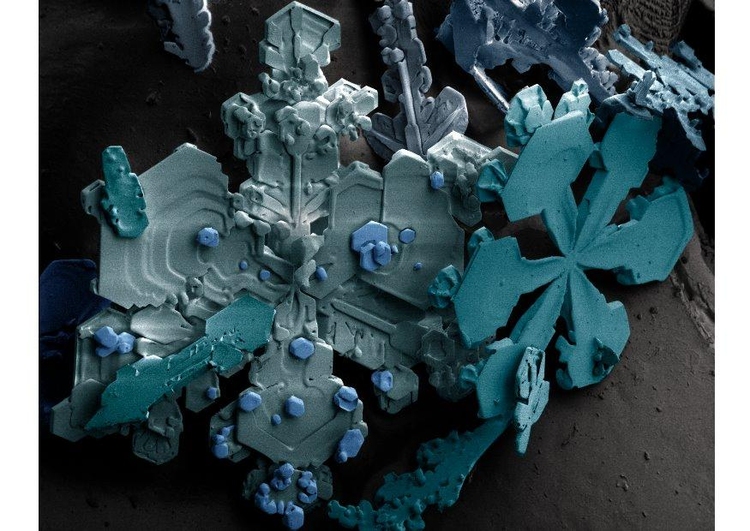 Foto snÃ¶kristall under mikroskop