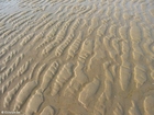 foto strand 1