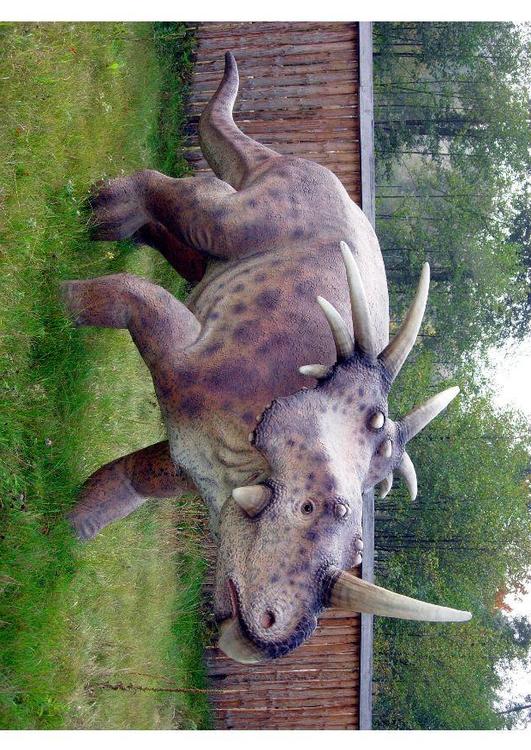Styracosaurus replik