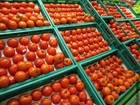 Foton tomater