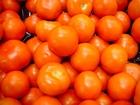 Foton tomater