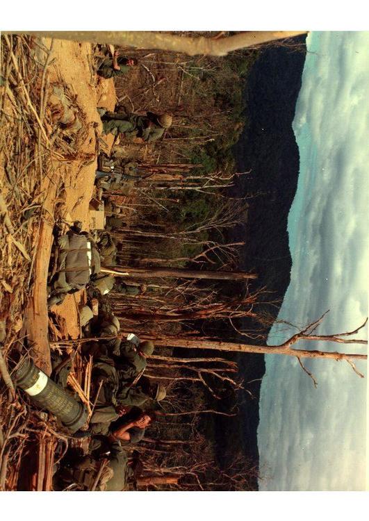 Vietnamkriget slagfÃ¤lt 530