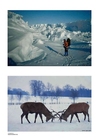 foto Vinter 3