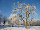 foto vinter 5