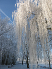 foto vinter 6