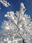 foto vinter 7