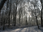 foto vinter