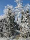 foto vinter