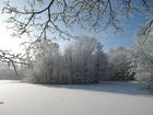 foto vinter