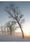 foto vinterlandskap