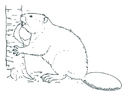 Målarbild bÃ¤ver