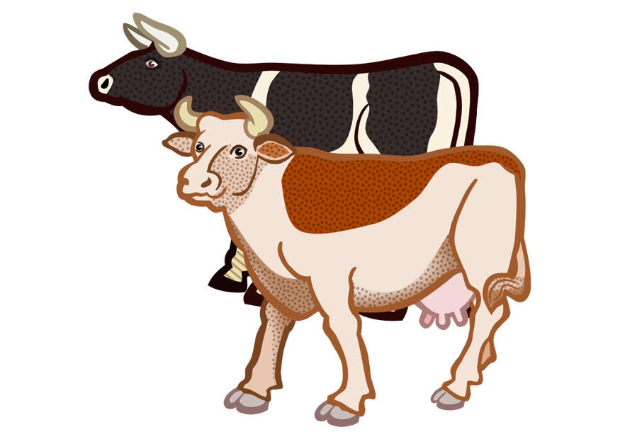 2 kor bild 2 kor