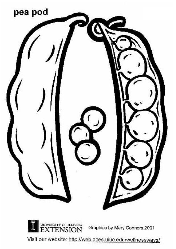 A„rtor Målarbild A„rtor