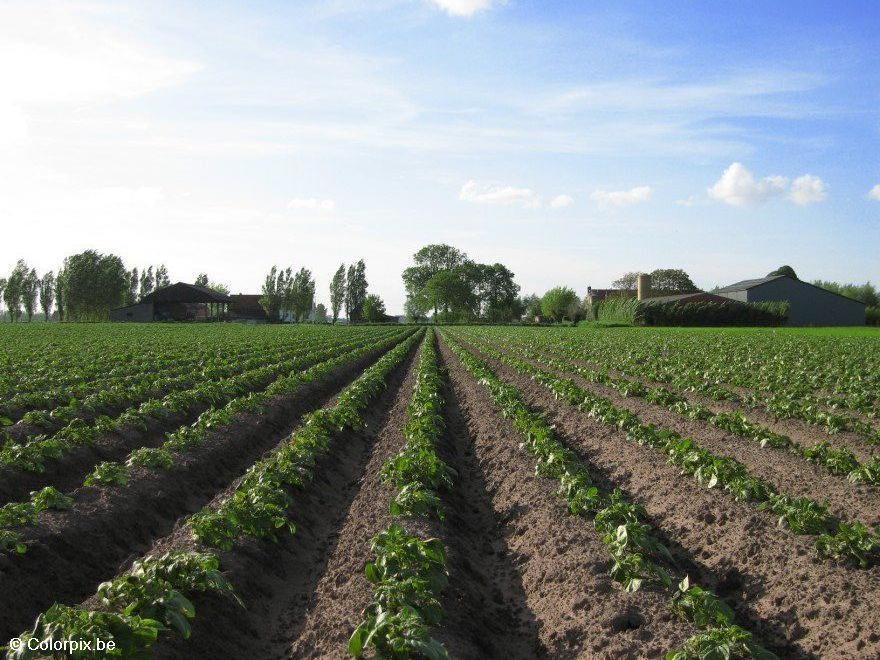 A¥ker 2 Foto A¥ker 2