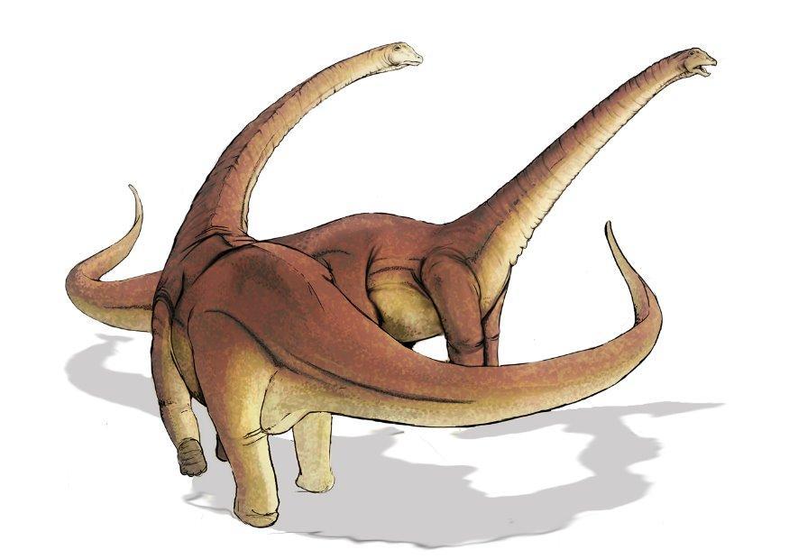 alamosaurus bild alamosaurus