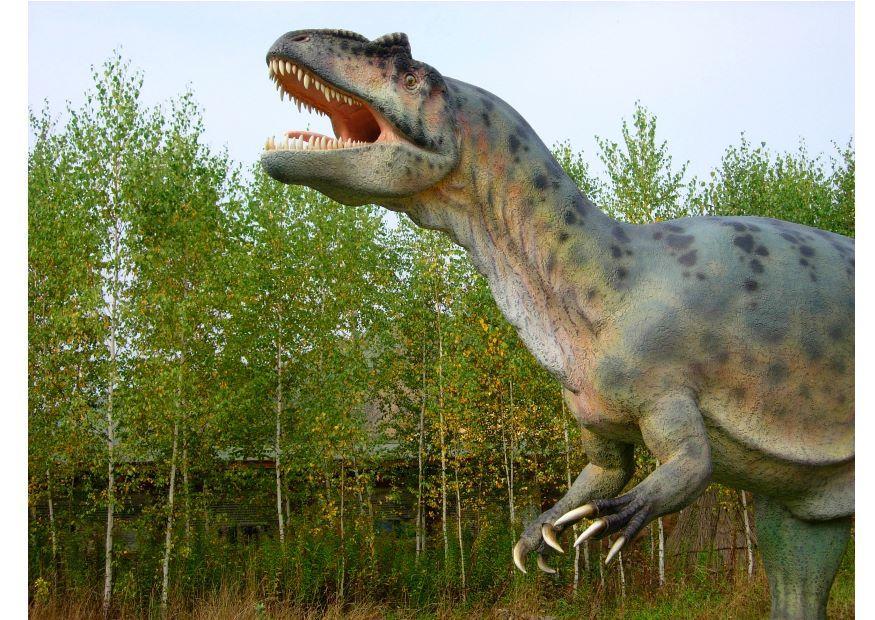 allosaurus replik Foto allosaurus replik