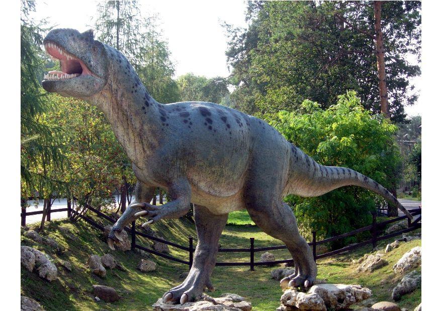 allosaurus replik Foto allosaurus replik