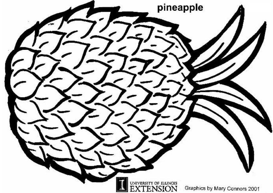 Målarbild ananas