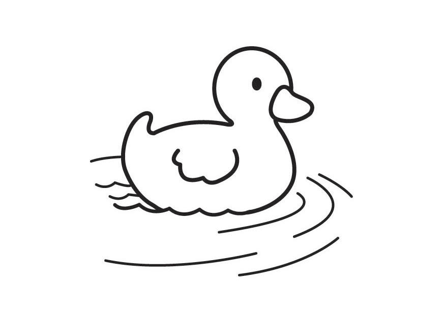 andunge Målarbild andunge